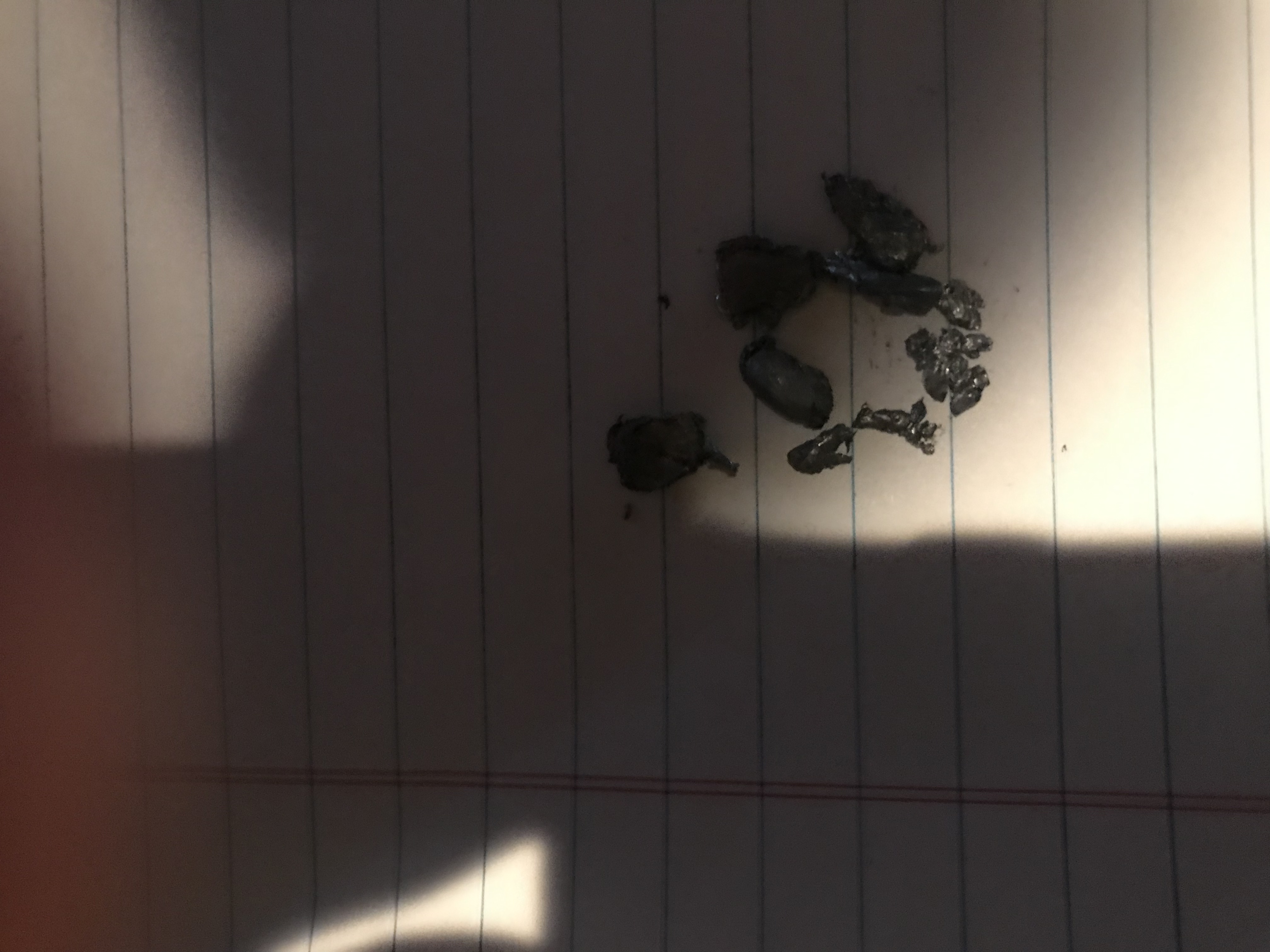 E0906CDE-E3D9-4413-8B44-3897B42D5844.jpeg