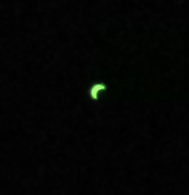 eclipse .jpg