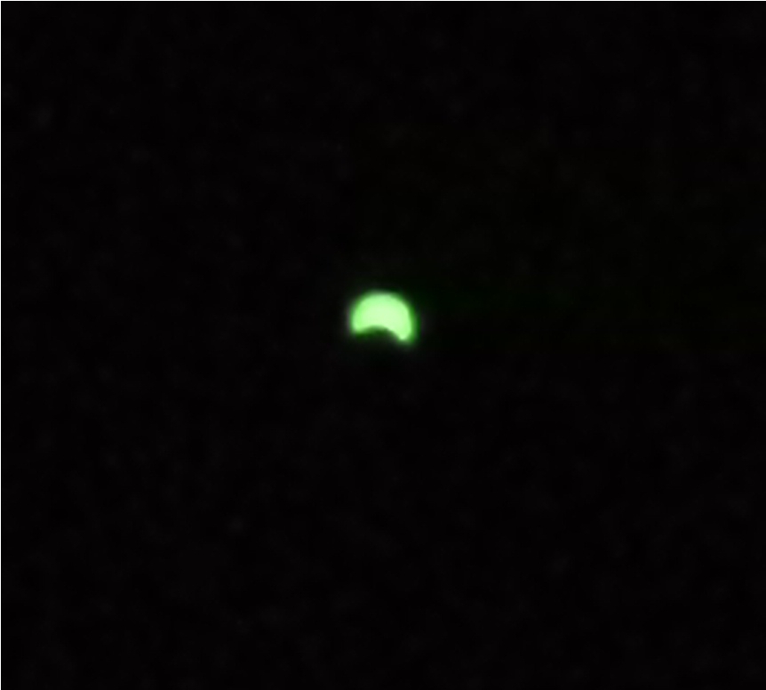 eclipse2.jpg