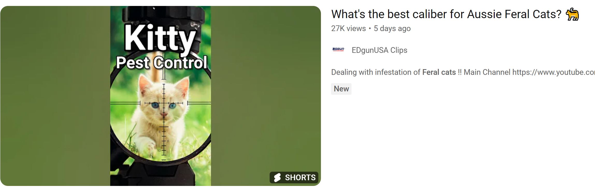 edgun.JPG