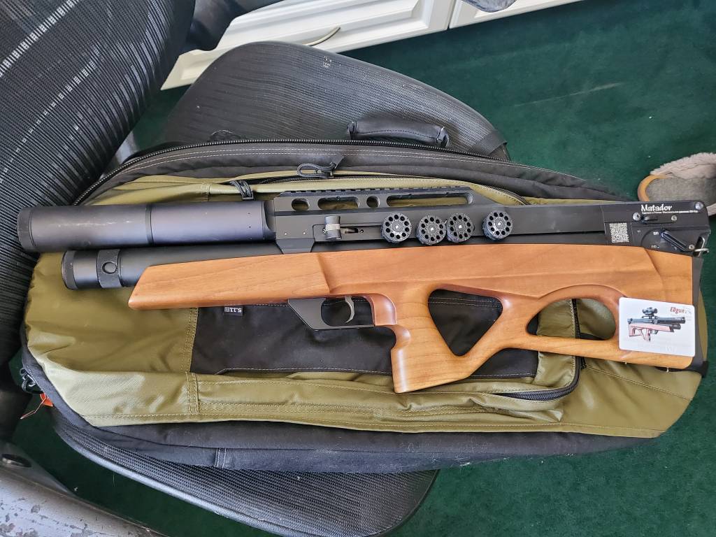 EDgun1.1620686237.jpg