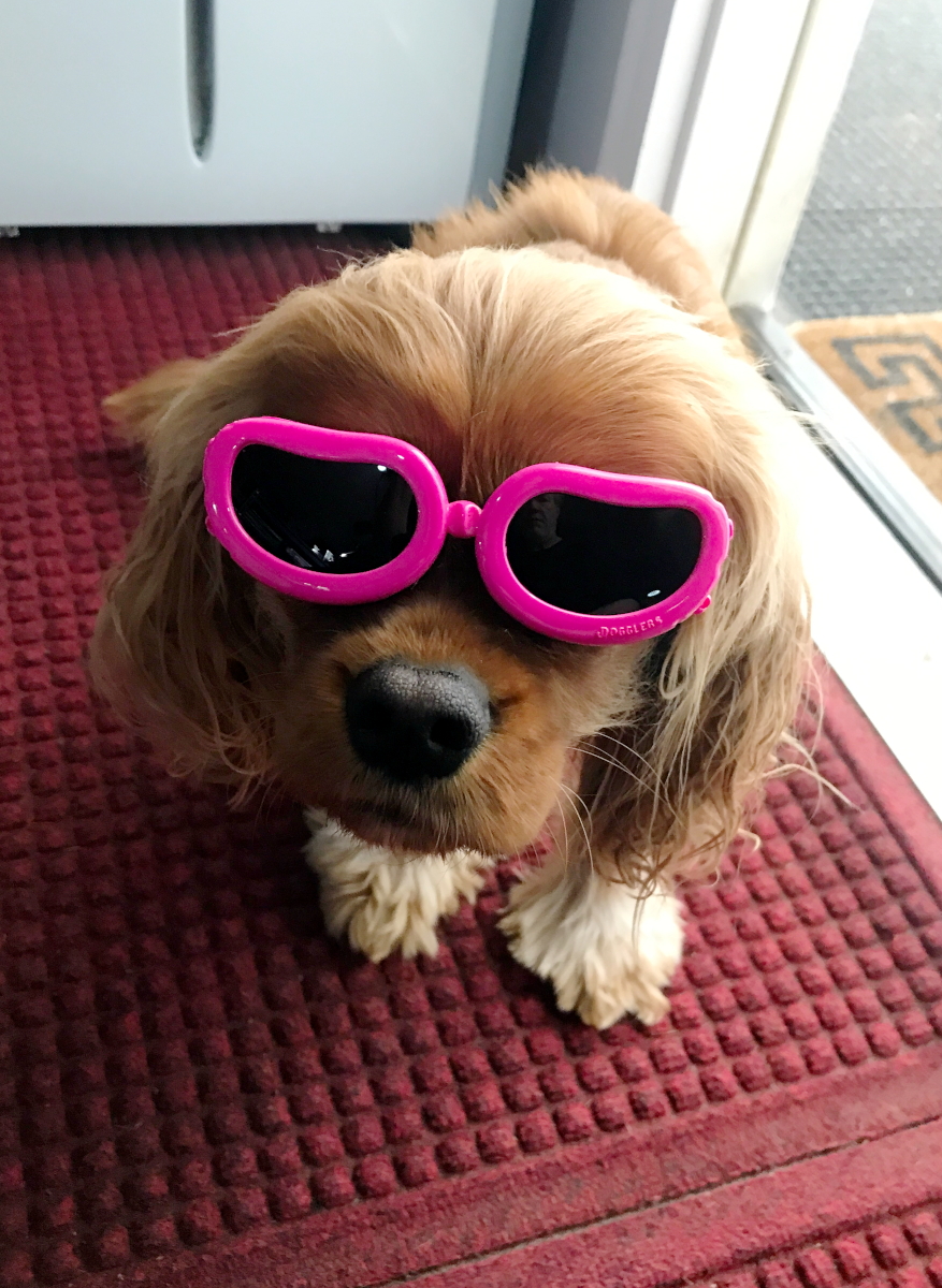 emmashootingglasses001.1643662998.jpg