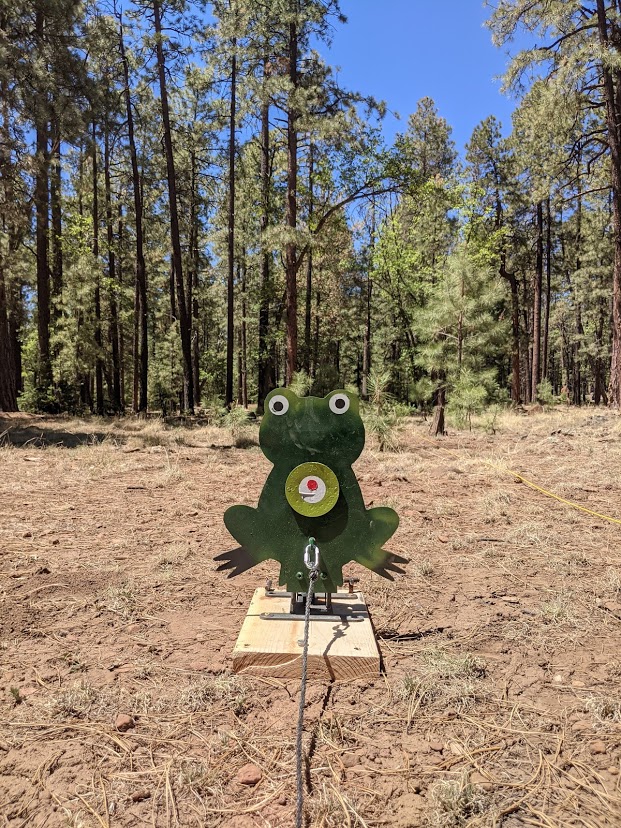 extreme frog.1623742217.jpg