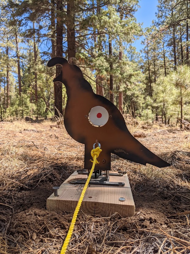 extreme quail.1623742456.jpg