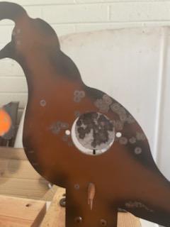 extreme quail shot up1.1623742582.jpg