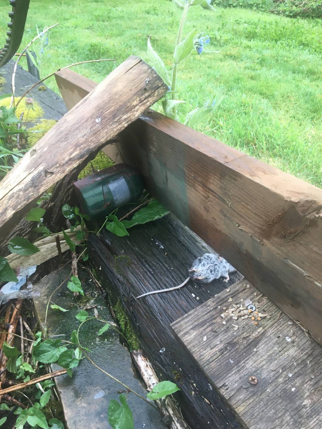 F1314450-6C36-499E-8620-E75F02958DA7.1618494177.jpeg