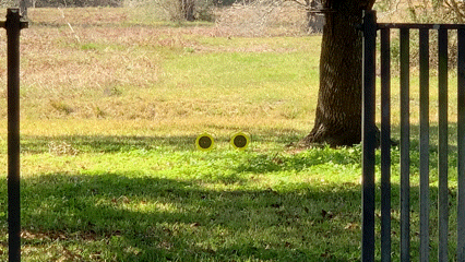 F13CC6D8-765D-4157-9941-5F2C8436B7E7.1612173605.gif
