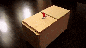 F548F239-8413-40AE-9F1E-114B0BF111CD.1642223338.gif