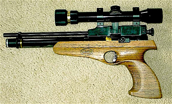 Falcon Hawk.1647620686.JPG