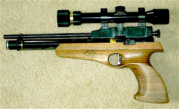 Falcon Hawk.JPG