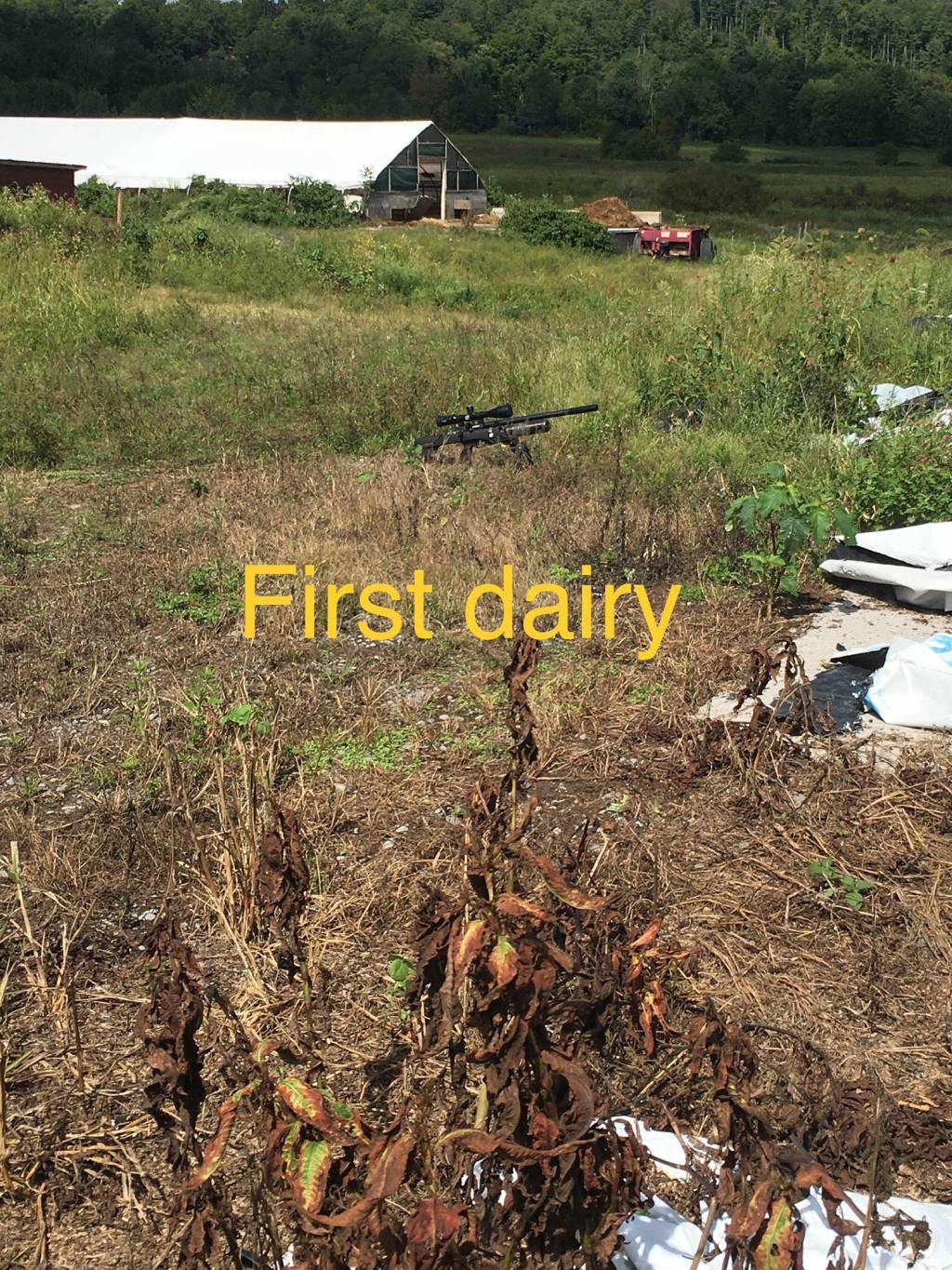 FCCB9C17-7019-4CEF-8052-EE2CDFCA3D0F.1599950710.jpeg