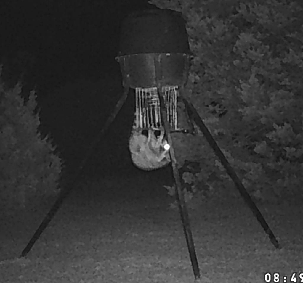 Feeder wrecker.1649348855.JPG