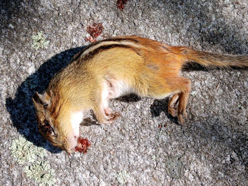 Female_07302025.jpg