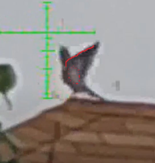 flap.1620504954.jpg