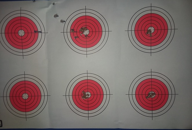 Flashpup SL target.1629547281.jpg