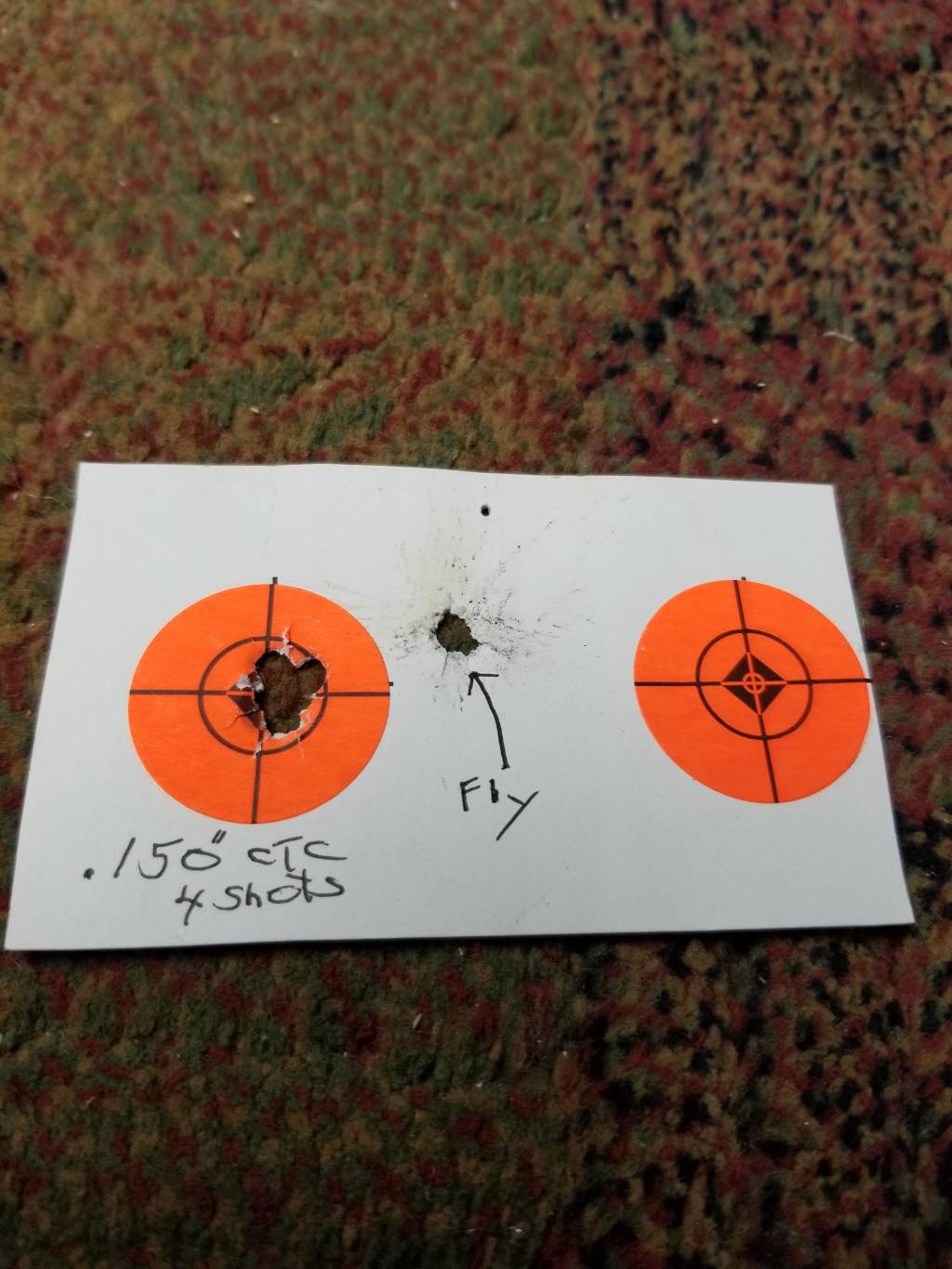 Fly.1622066856.jpg Fly.1622066856.jpg