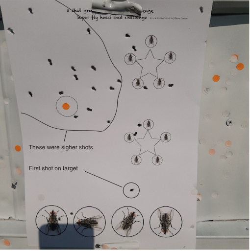 Fly shots.1624560924.png