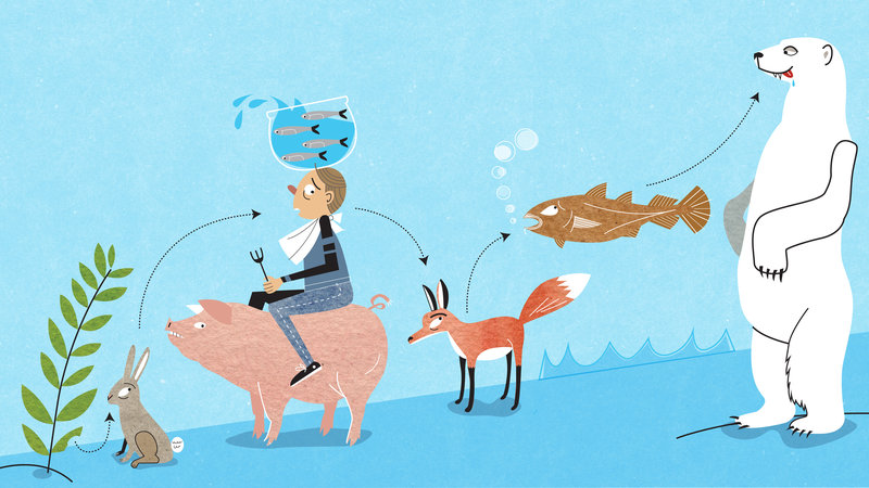 foodchain_npr_wide-3b172dab9a643b15a2c53ca5d97f88082ccabbe8-s800-c85.1609414915.jpeg