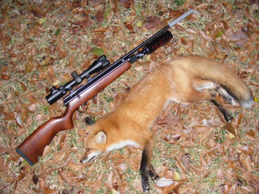 fox_45yds_010414.jpg