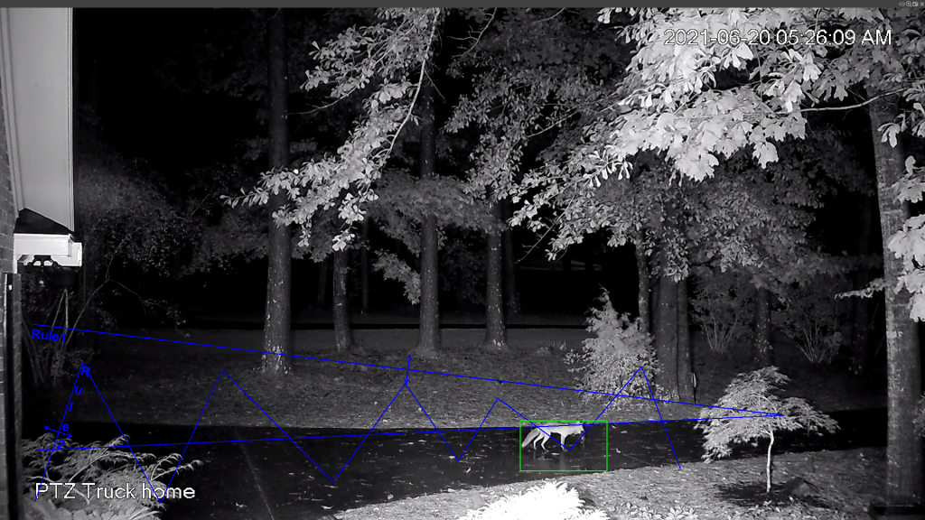 foxsquirrel.1624197597.png