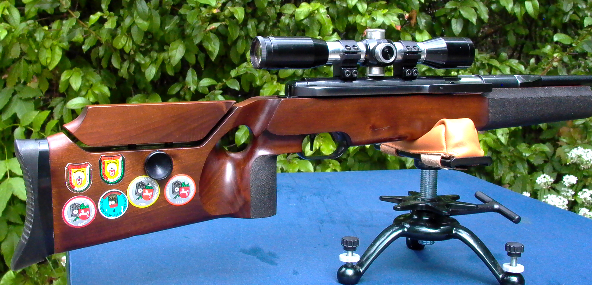 fwb rt with b nickel03.jpg