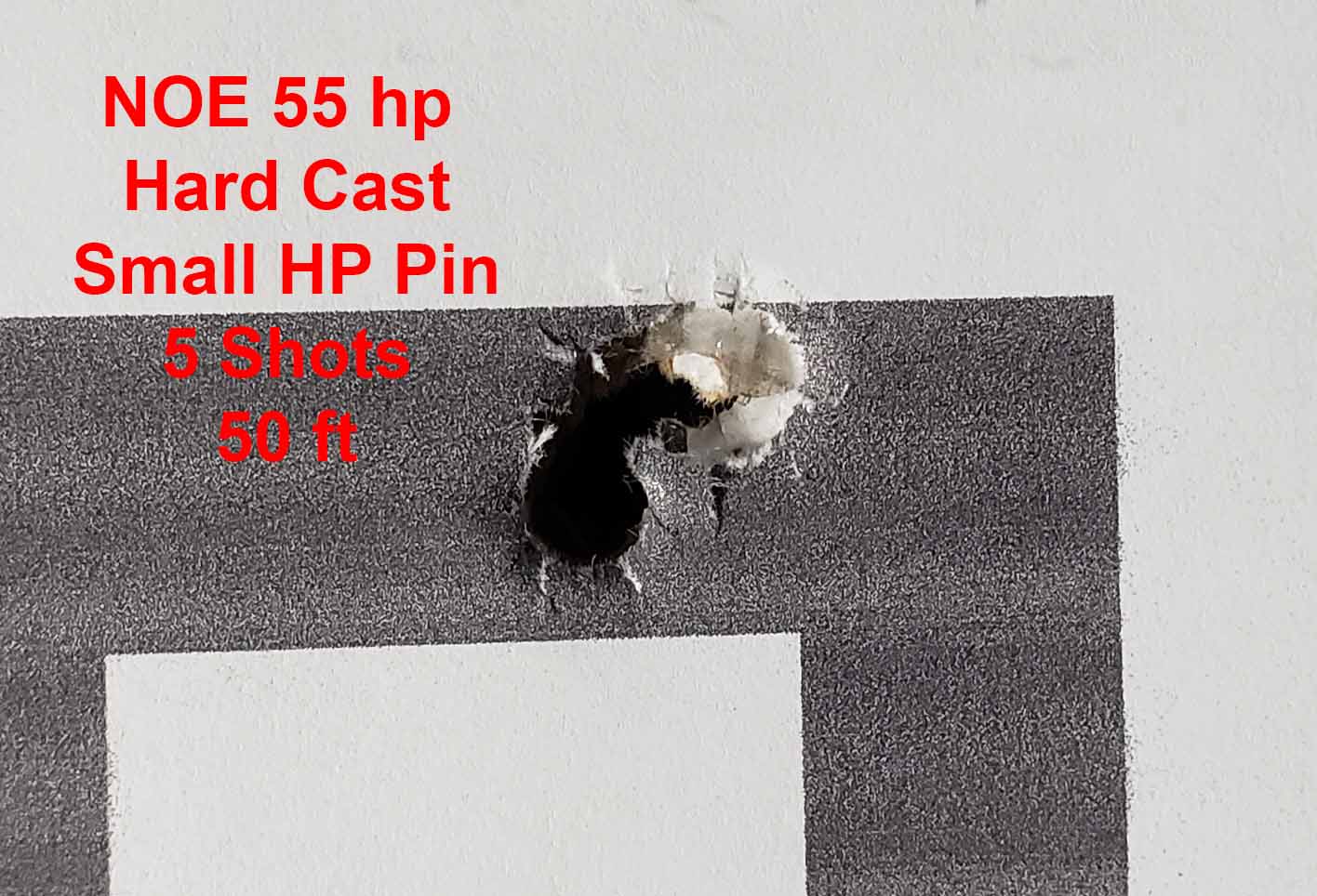 FX NOE 55gr HP Hard Cast smaller hp pin.jpg
