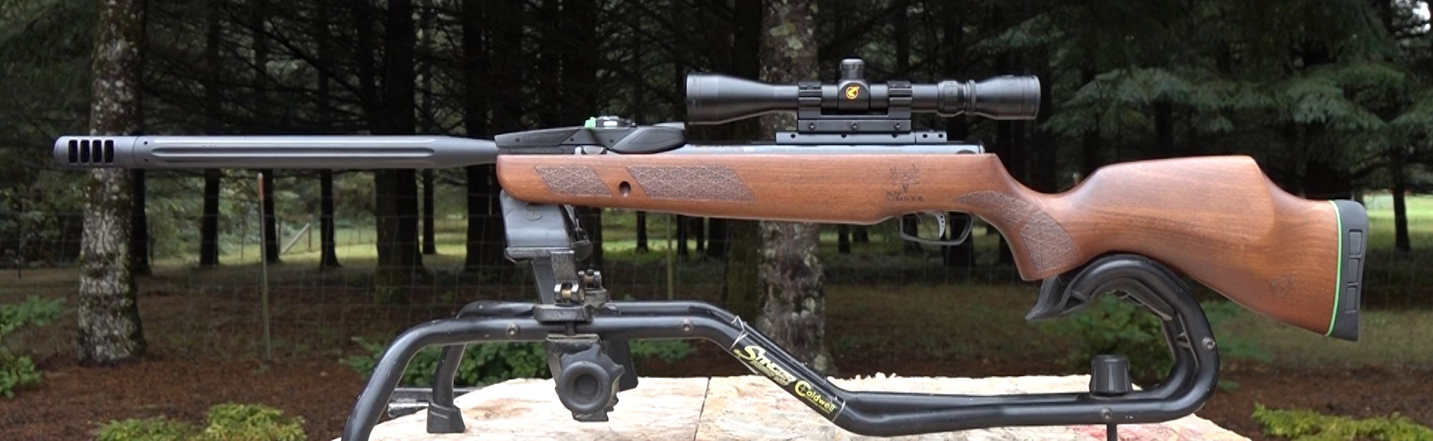 g311.JPG
