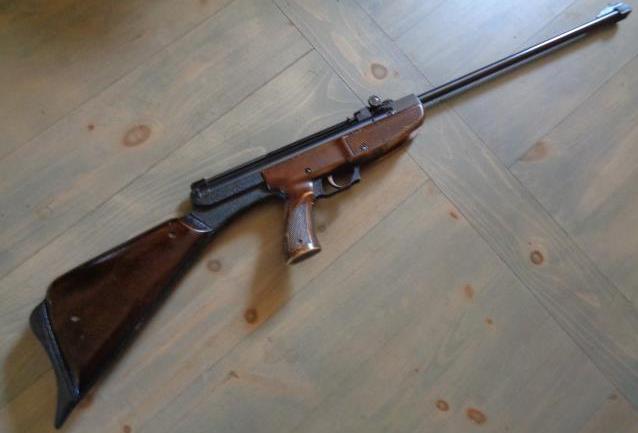 gamo.1641484565.jpg