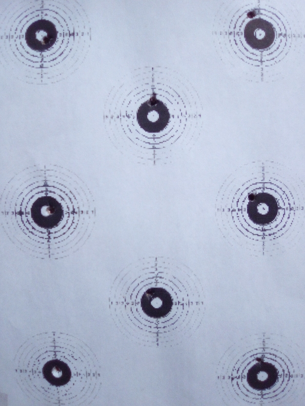 gamo.22cphp50foot.jpg