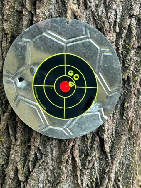 GAMO 45yd cphp14.3.jpg