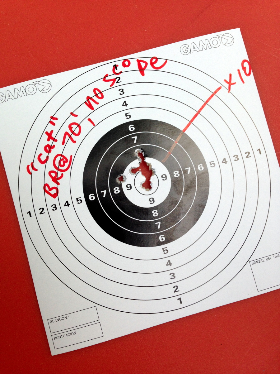 gamocattargettest006.1623845343.jpg