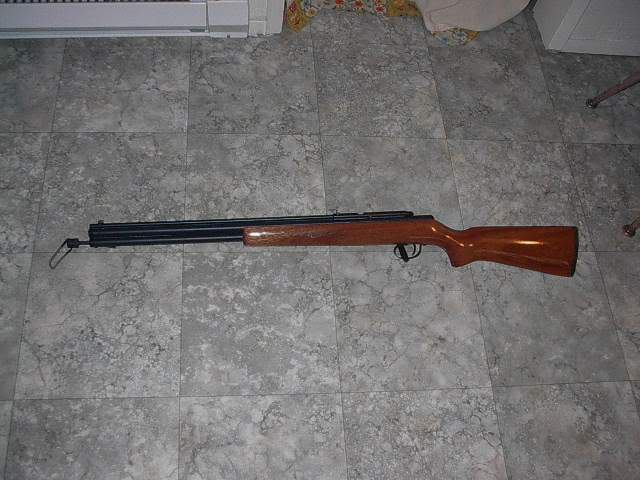 garco.1644716845.jpg