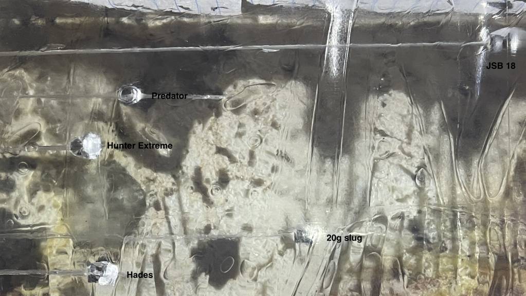 Gel top view.1614807828.jpg