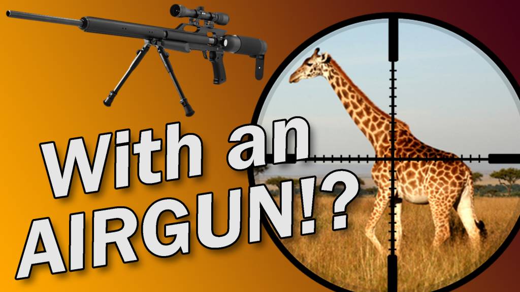 Giraffe_TitleCard.1602379922.jpg