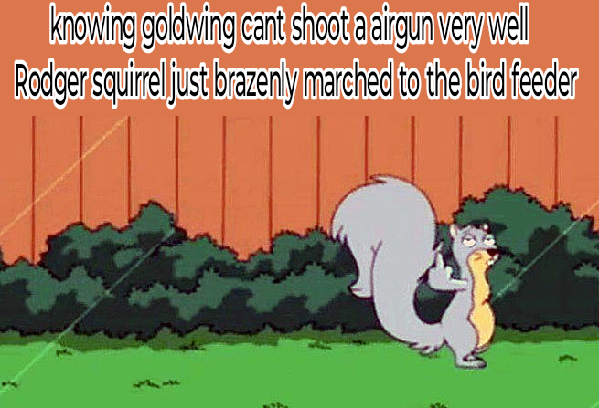 goldwing.lol.png
