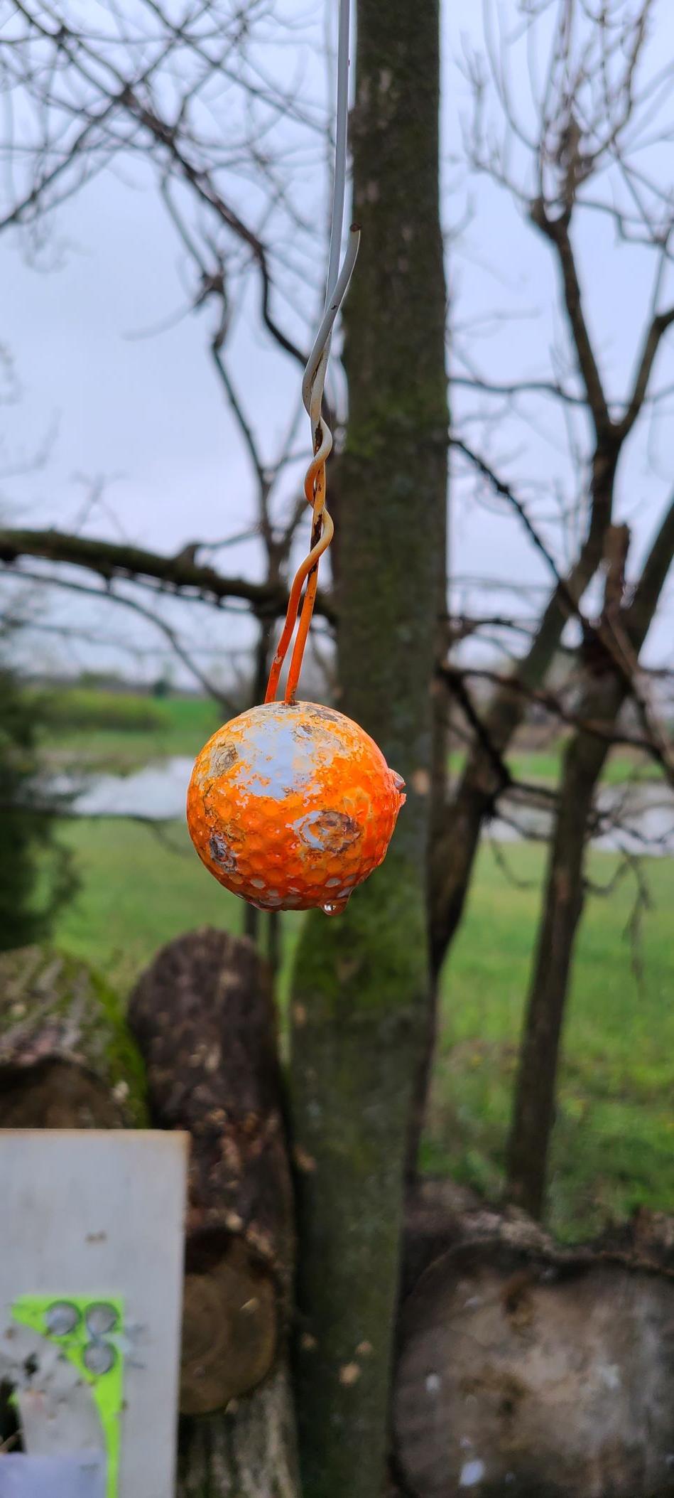 golf ball.1651076300.jpg