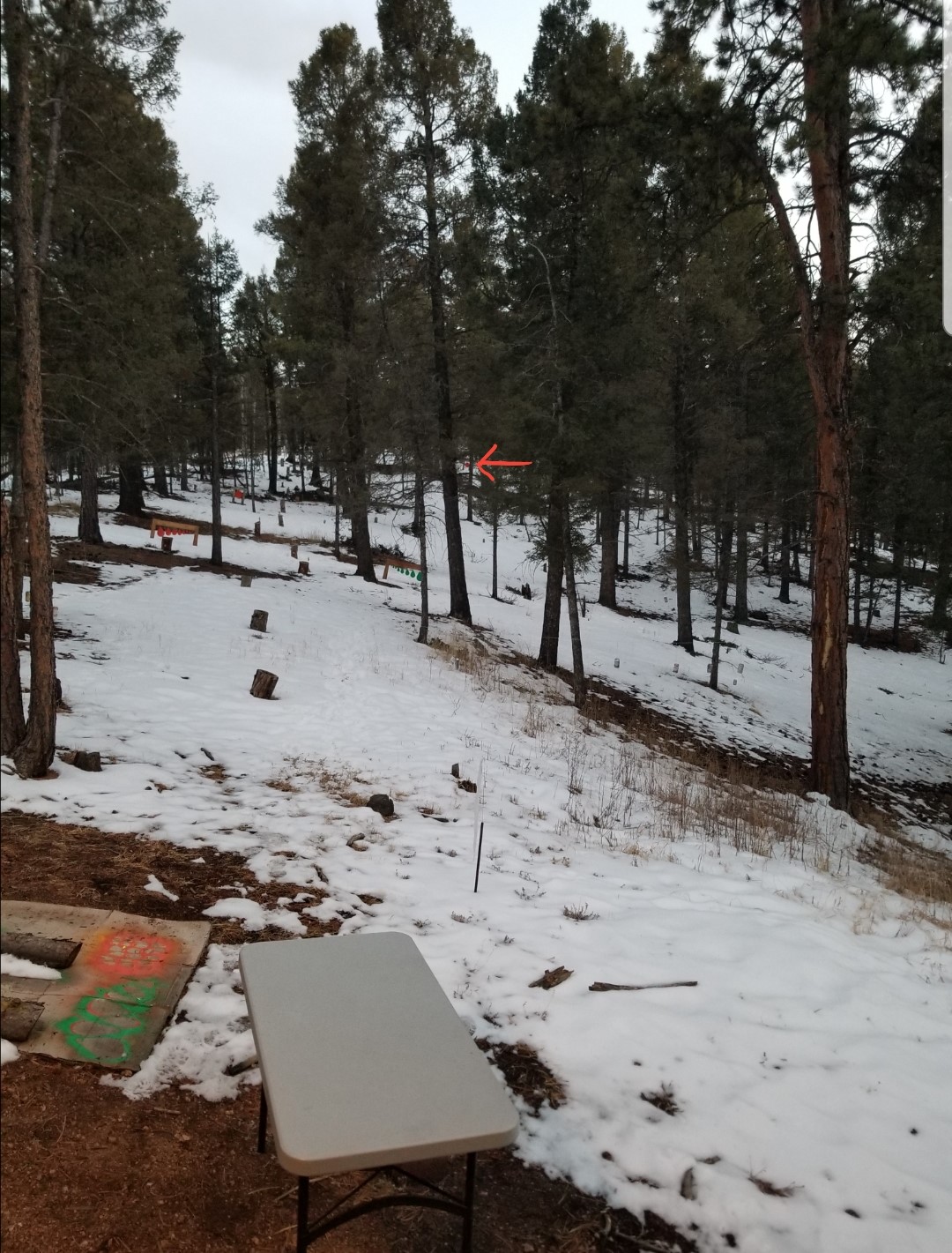 GongWaaayOutThere_2023-02-14.jpg