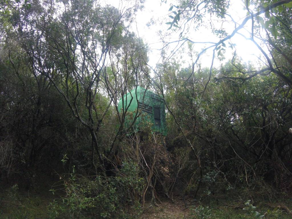 GOPR8324_1552144416560_high.1610391134.JPG