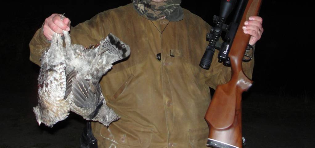 Grouse Canad2.1646625222.JPG