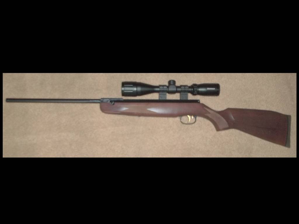 Gun.1621974818.jpg