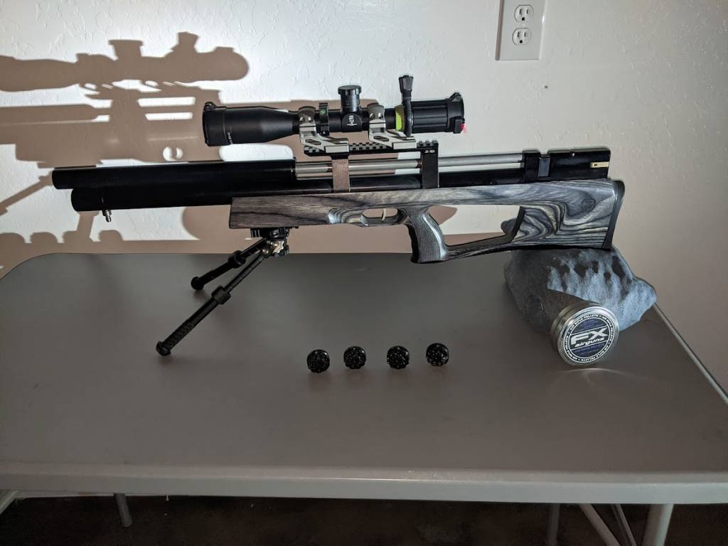 gun.1628663102.jpg