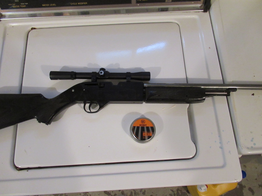 Gun and Pellets.1620692807.jpg