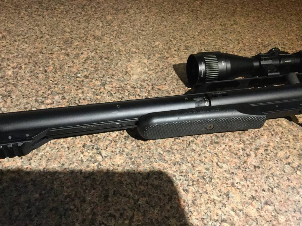 gun5.1607898723.jpeg