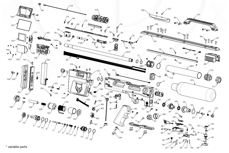 HAM-4-7.1608582421.jpg