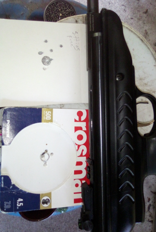 hatsan25sc,10m, .177cphp.jpg