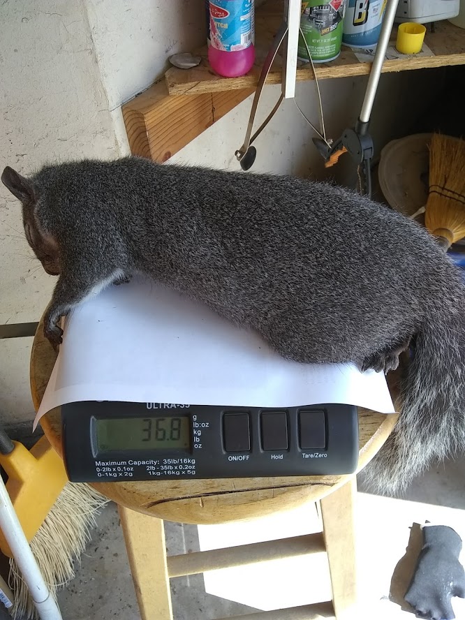 heavy.1599259198.jpg