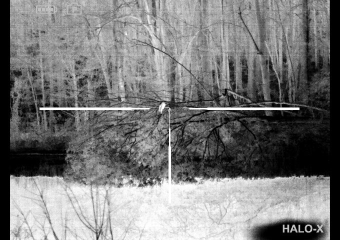 herion 125 yrds halo.jpg