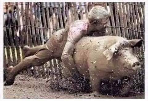 hog wrestling.1606498297.jpg
