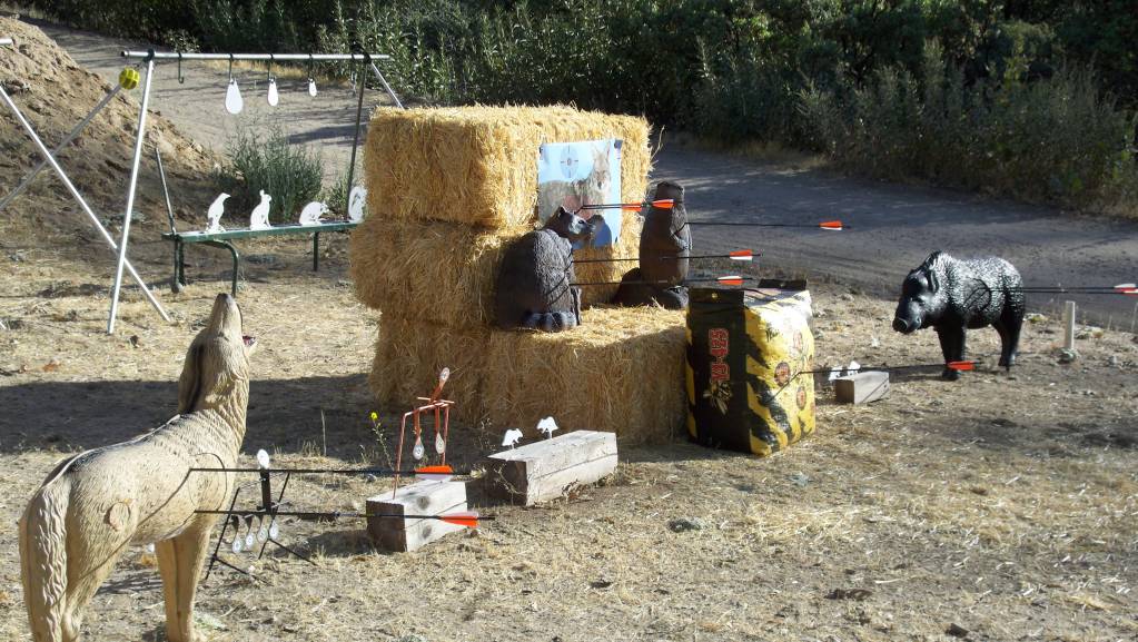 Home shooting range 1.1623623526.JPG