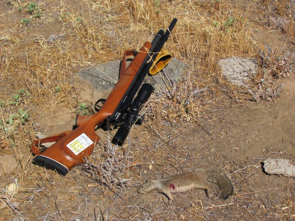 Hunting Descanso July 3 2014 002.1613103036.JPG